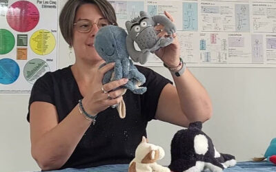 La méthode « Raconte-moi mon histoire© » : pourquoi remonter avant la conception et comment se déroule une séance ?